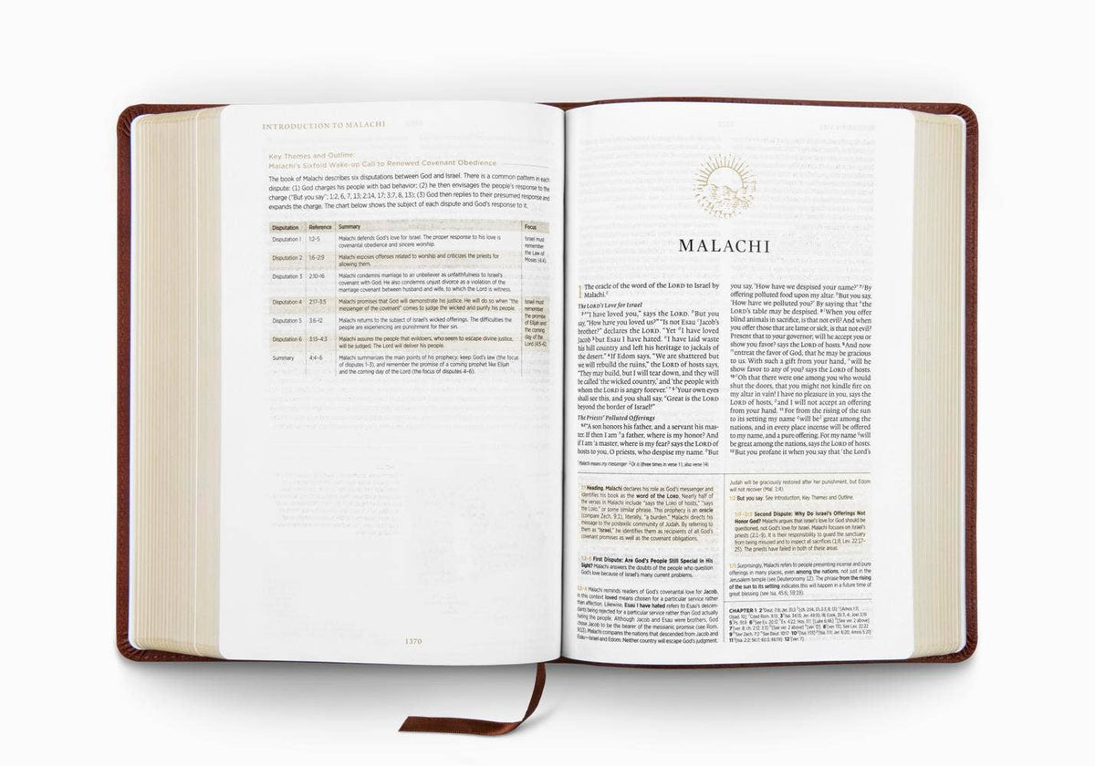 ESV Men's Study Bible: TruTone®, Brown